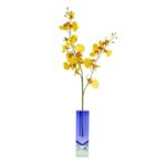 productHero-SPOTWF-BP80725192-blue