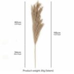 productHero-SPOTWF-BP80725899-brown-3