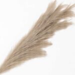 productHero-SPOTWF-BP80725899-brown-4