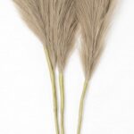 productHero-SPOTWF-BP80725899-brown-6