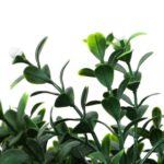 productHero-SPOTWF-BP80725910-green-4