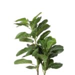 productHero-SPOTWF-BP80725912-green-4
