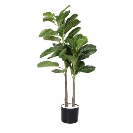 productHero-SPOTWF-BP80725912-green