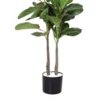 productHero-SPOTWF-BP80725912-green-6