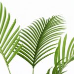 productHero-SPOTWF-BP80725913-green-4