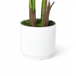 productHero-SPOTWF-BP80725913-green-6