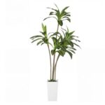 productHero-SPOTWF-BP80725915-green