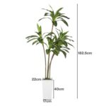productHero-SPOTWF-BP80725915-green-2