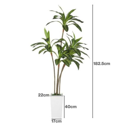 productHero-SPOTWF-BP80725915-green-2