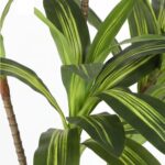 productHero-SPOTWF-BP80725915-green-3