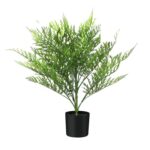 productHero-SPOTWF-BP80725916-green