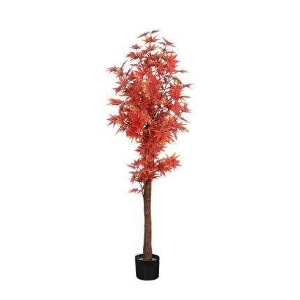 productHero-SPOTWF-BP80725920-red-2