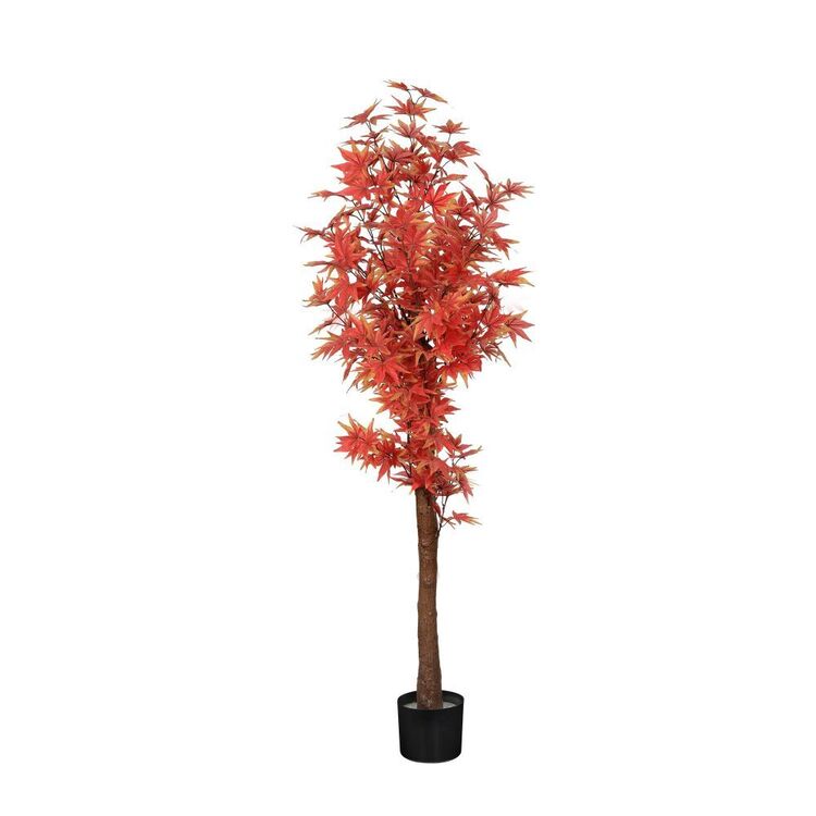 productHero-SPOTWF-BP80725920-red productHero-SPOTWF-BP80725920-red
