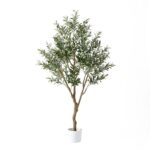productHero-SPOTWF-BP80725921-green-2