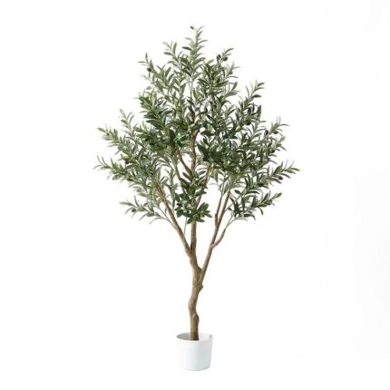 productHero-SPOTWF-BP80725921-green-2