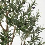 productHero-SPOTWF-BP80725921-green-4