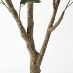 productHero-SPOTWF-BP80725921-green-5