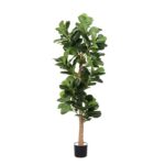 productHero-SPOTWF-BP80725923-green