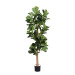 productHero-SPOTWF-BP80725923-green-2
