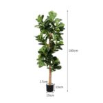 productHero-SPOTWF-BP80725923-green-3