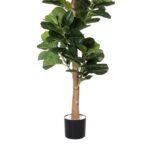 productHero-SPOTWF-BP80725923-green-6