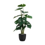 productHero-SPOTWF-BP80725924-green-2