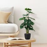productHero-SPOTWF-BP80725924-green-7
