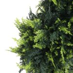 productHero-SPOTWF-BP80725926-green-4