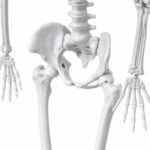 productHero-SPOTWF-BP80727154-white-4