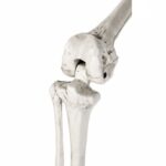 productHero-SPOTWF-BP80727155-white-4
