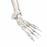 productHero-SPOTWF-BP80727155-white-6