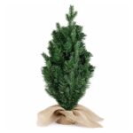 productHero-SPOTWF-BP80729421-green-2