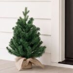 productHero-SPOTWF-BP80729421-green-7