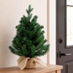 productHero-SPOTWF-BP80729421-green-8