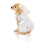 productHero-SPOTWF-BP920011076-white
