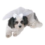productHero-SPOTWF-BP920011715-white-2