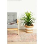 productHero-SPOTWF-BP920020607-red-3
