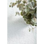 productHero-SPOTWF-BP920021396-white-9