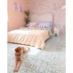 productHero-SPOTWF-BP920024103-blue-9