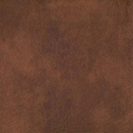 productHero-SPOTWF-BP920025481-bison