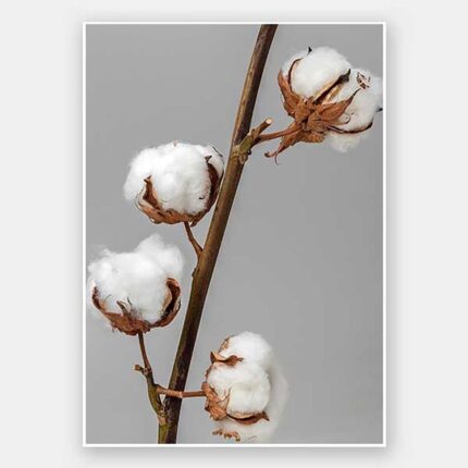 productHero-SPOTWF-BP920029112-unframed