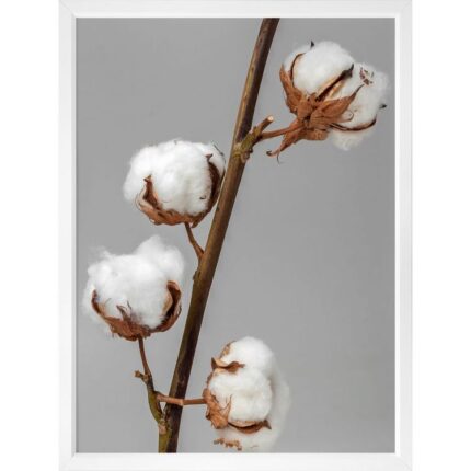 productHero-SPOTWF-BP920029112-white-frame