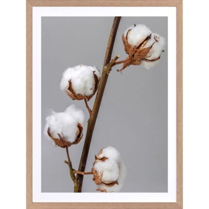 productHero-SPOTWF-BP920029112-wide-border-oak-frame