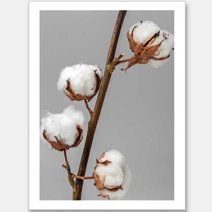 productHero-SPOTWF-BP920029112-wide-border-unframed