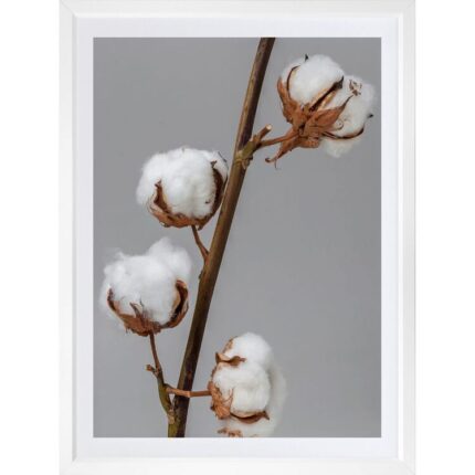 productHero-SPOTWF-BP920029112-wide-border-white-frame