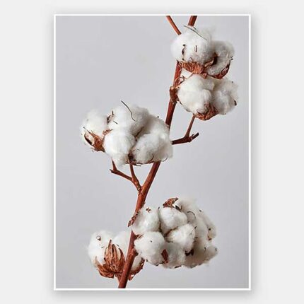 productHero-SPOTWF-BP920029126-unframed