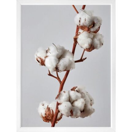productHero-SPOTWF-BP920029126-white-frame