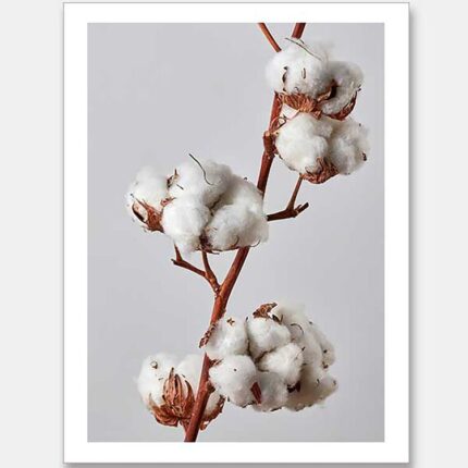 productHero-SPOTWF-BP920029126-wide-border-unframed