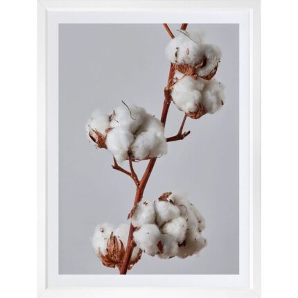 productHero-SPOTWF-BP920029126-wide-border-white-frame