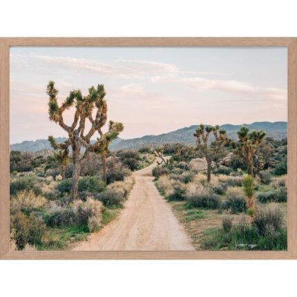 productHero-SPOTWF-BP920029182-oak-frame